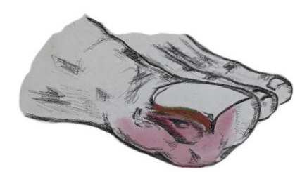 рис 12