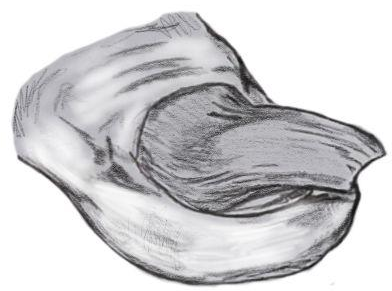 рис 14