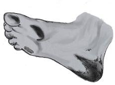рис 7