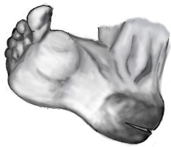рис 8